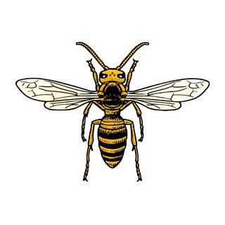 コガタスズメバチ